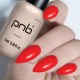 Гел лак PNB 8 мл 206